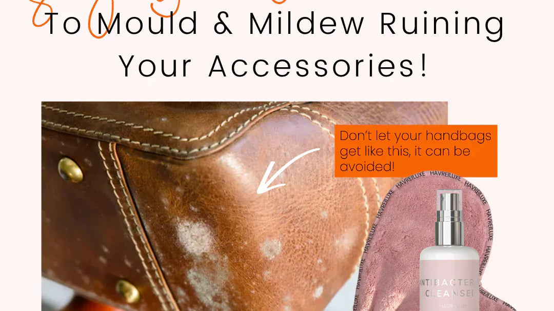 How to care for your bags & accessories in a humid climate & avoid mould / mold and mildew on your accessories!